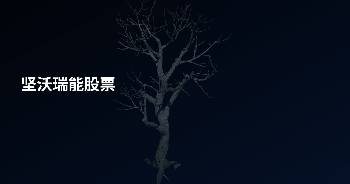 坚沃瑞能股票