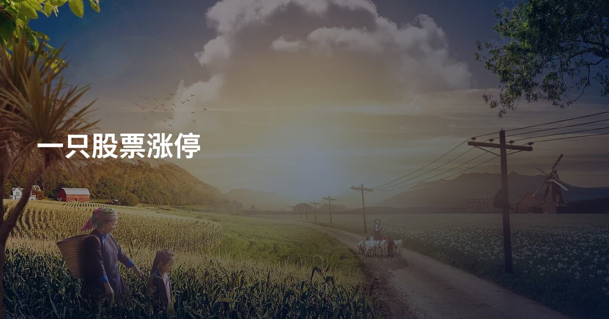 一只股票涨停