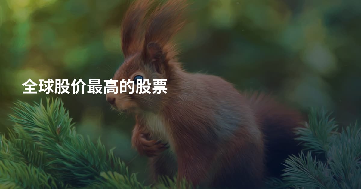 全球股价最高的股票