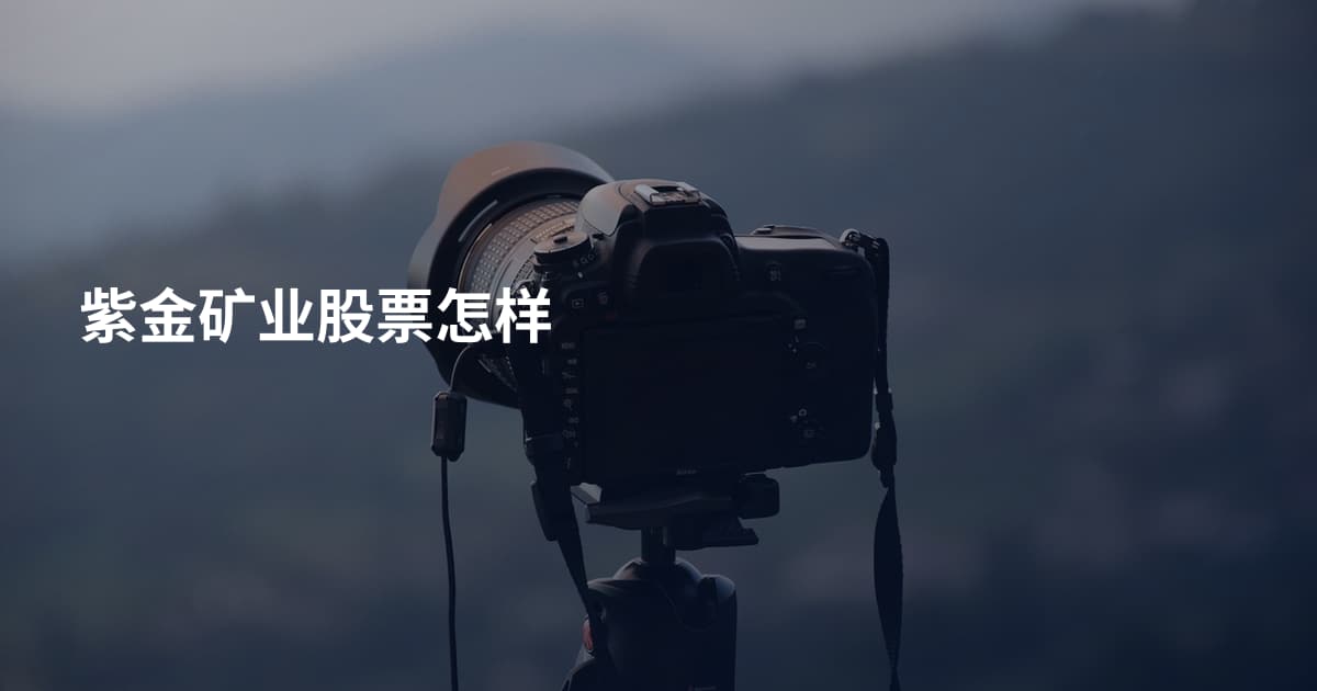 紫金矿业股票怎样