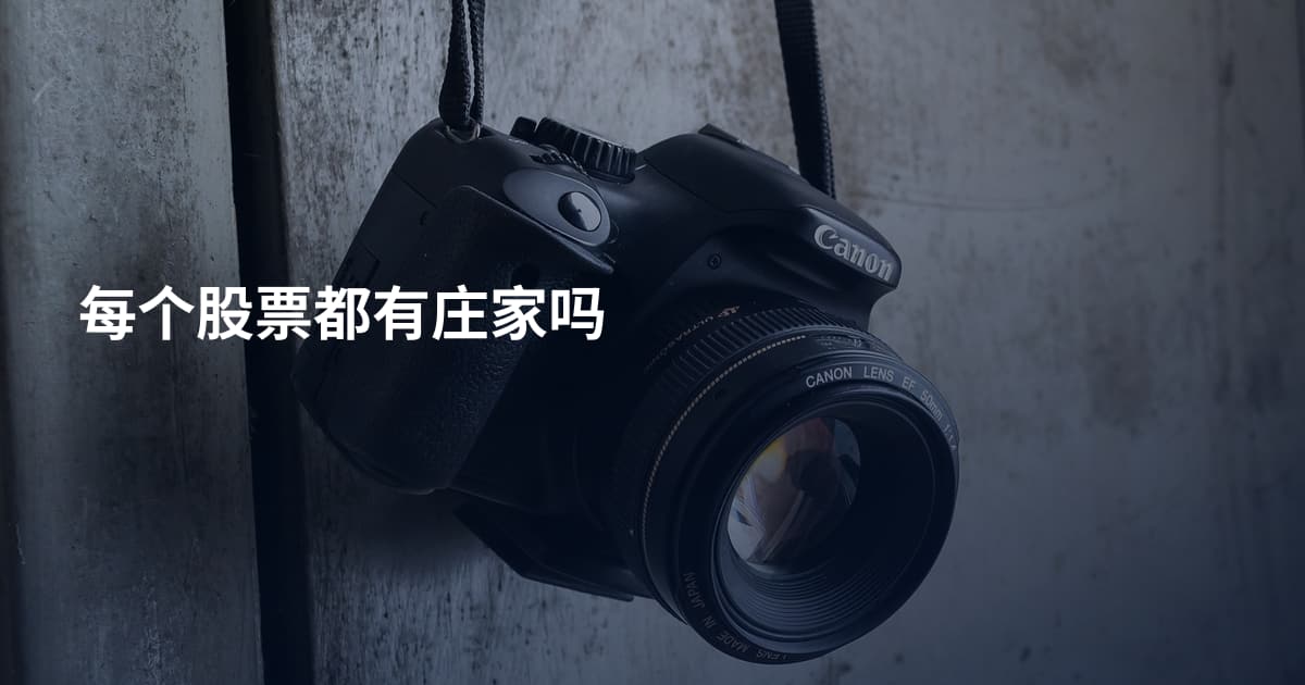 每个股票都有庄家吗
