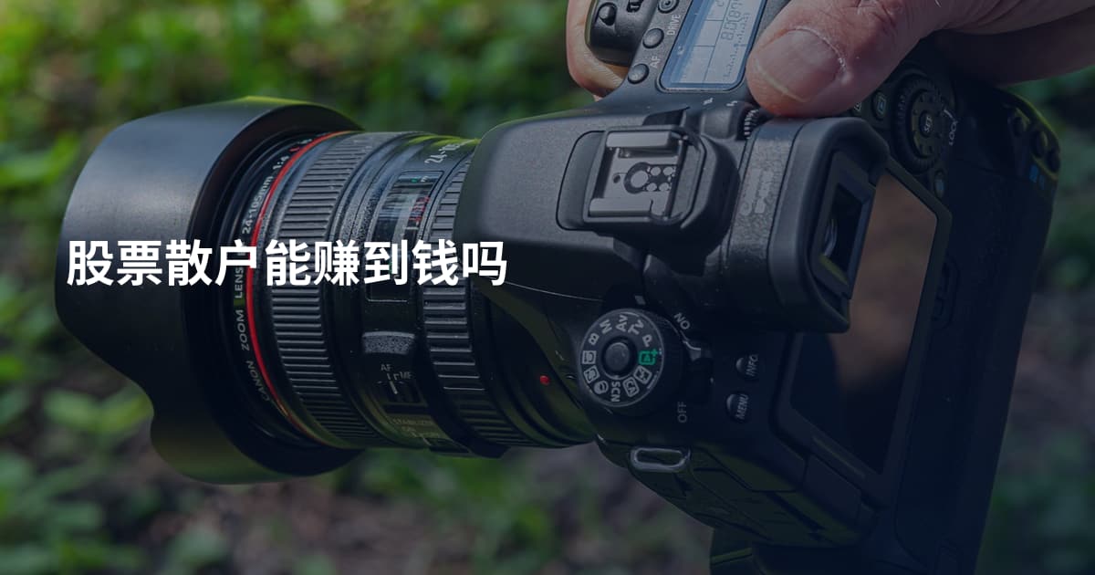 股票散户能赚到钱吗