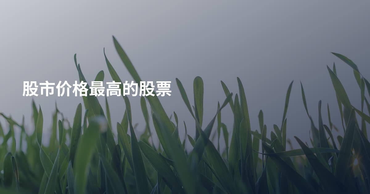 股市价格最高的股票