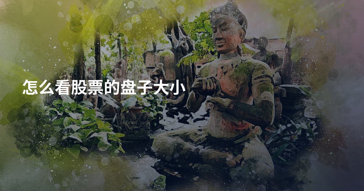 怎么看股票的盘子大小