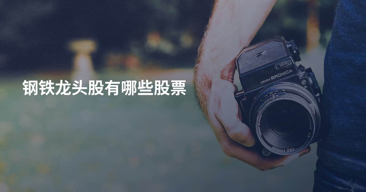 钢铁龙头股有哪些股票