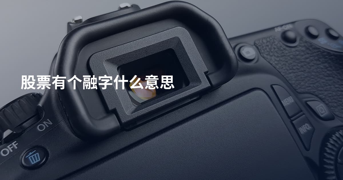股票有个融字什么意思