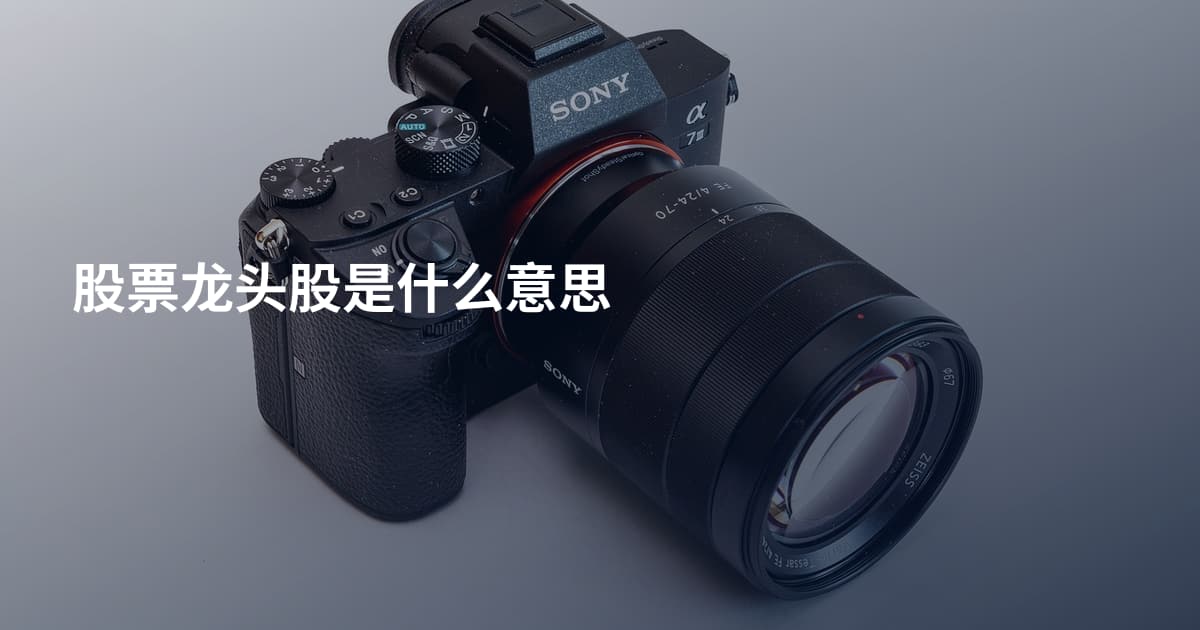 股票龙头股是什么意思