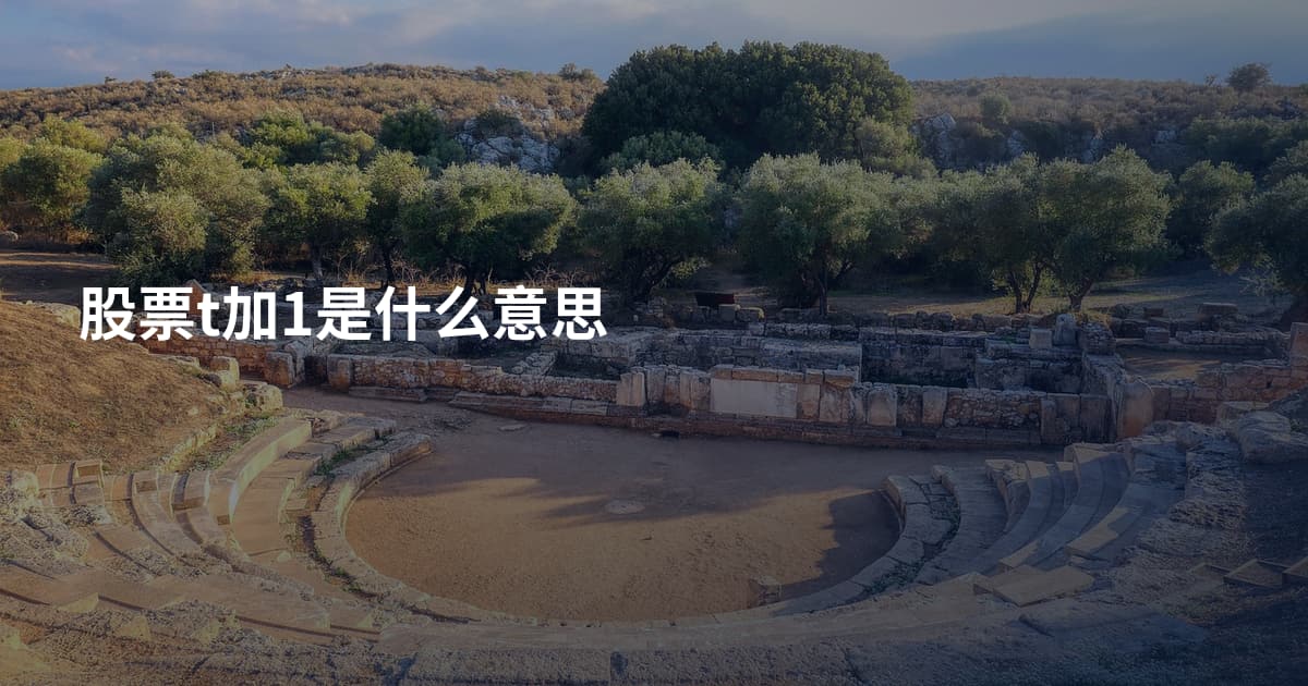股票t加1是什么意思