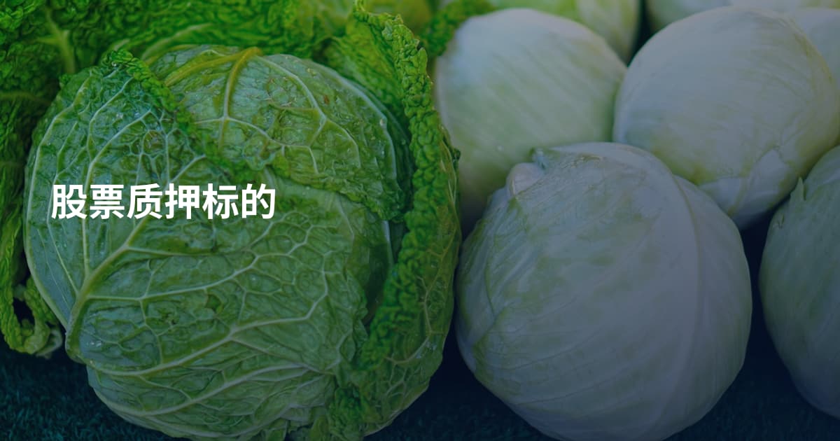 股票质押标的