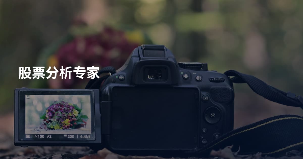 股票分析专家