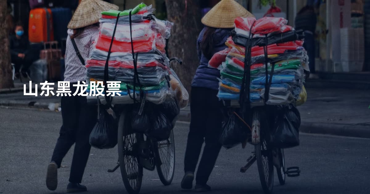 山东黑龙股票