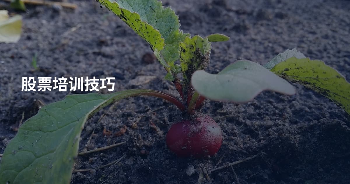 股票培训技巧