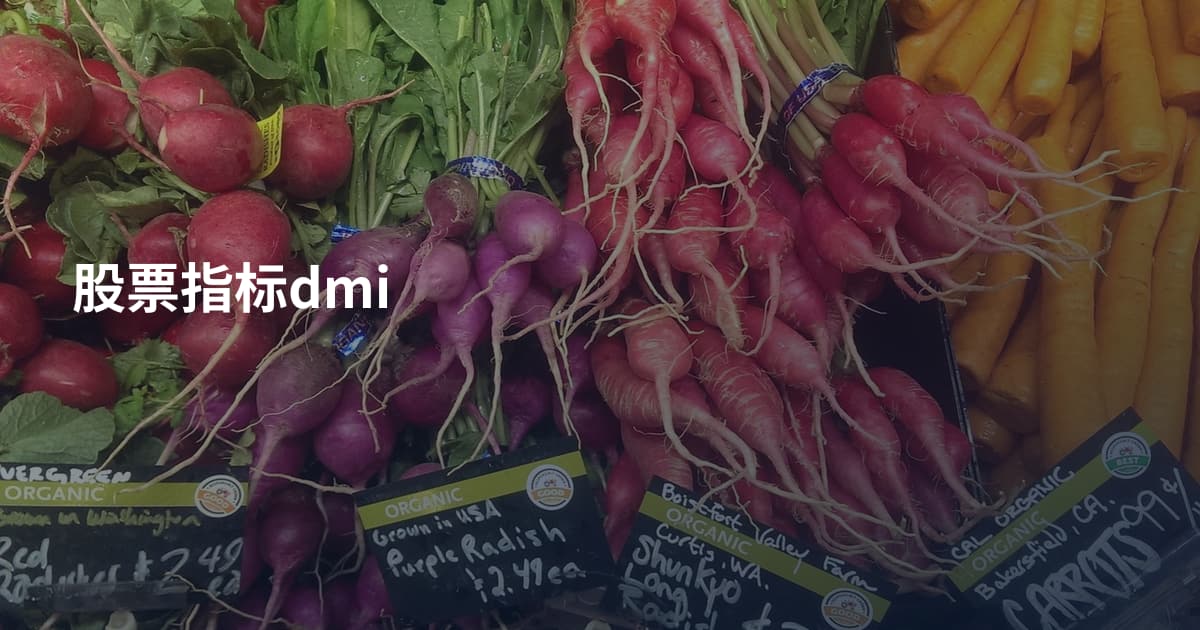 股票指标dmi