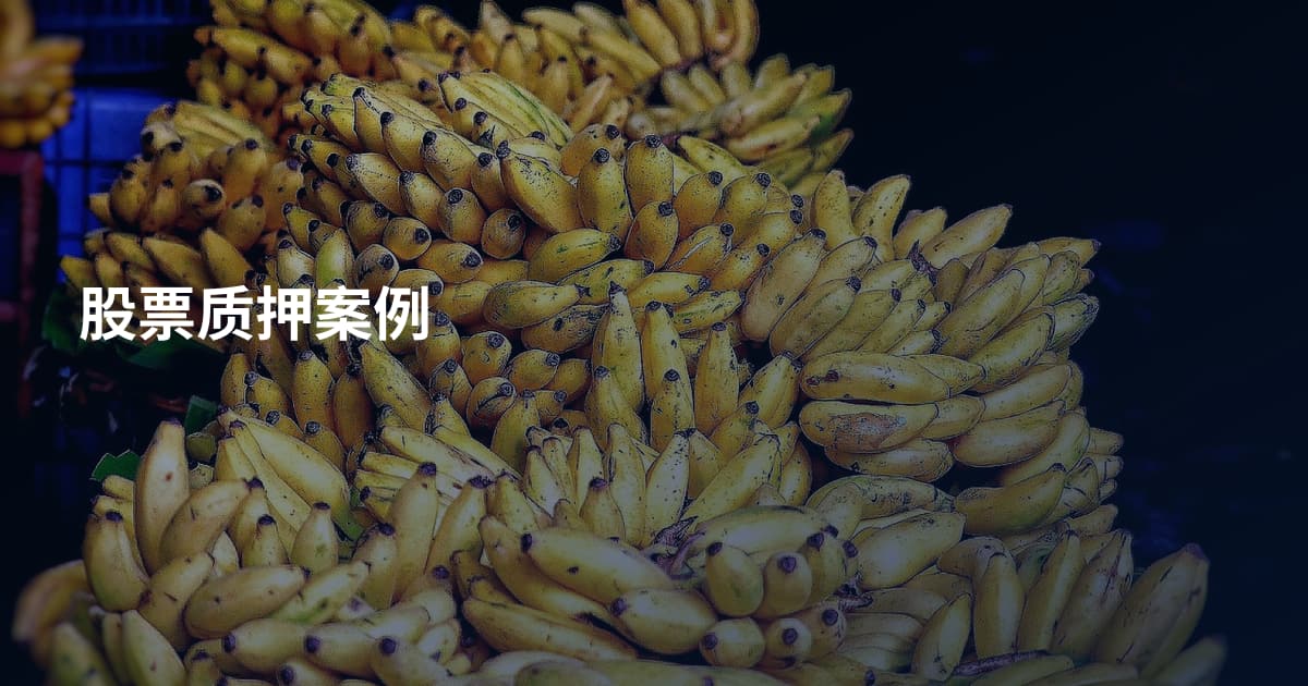 股票质押案例