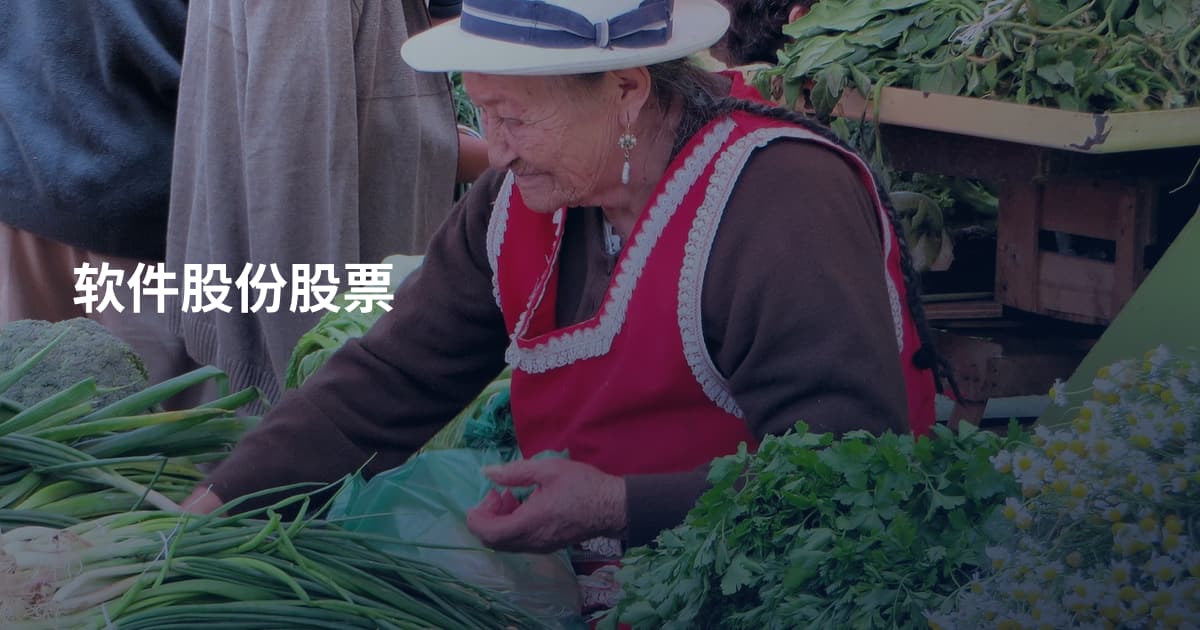 软件股份股票