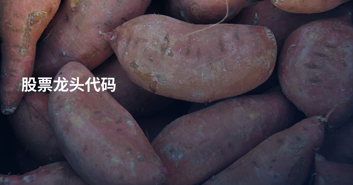 股票龙头代码