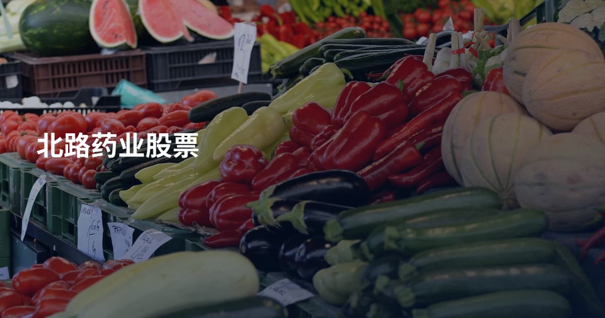 北路药业股票