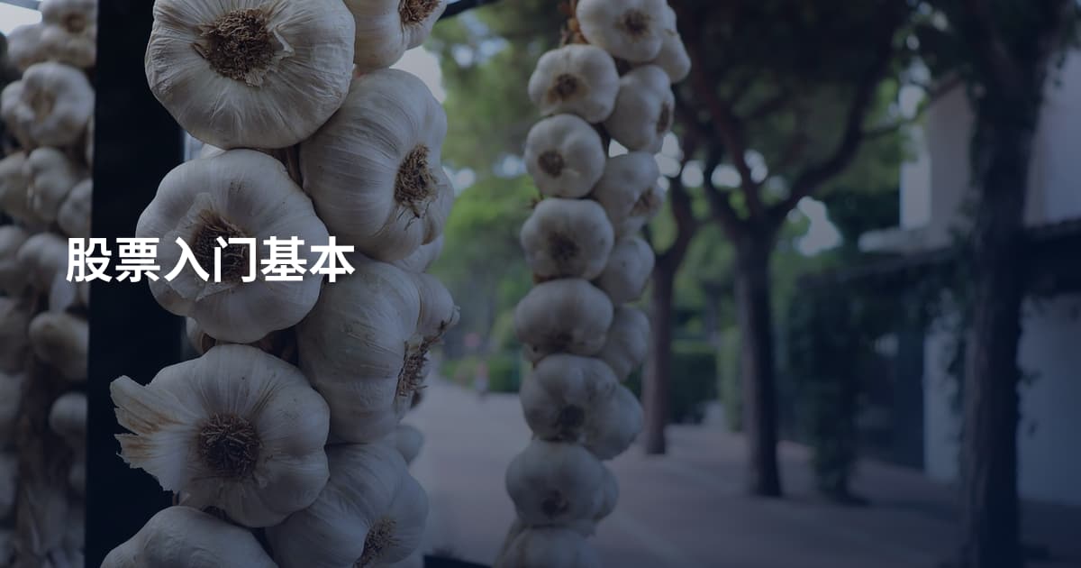 股票入门基本