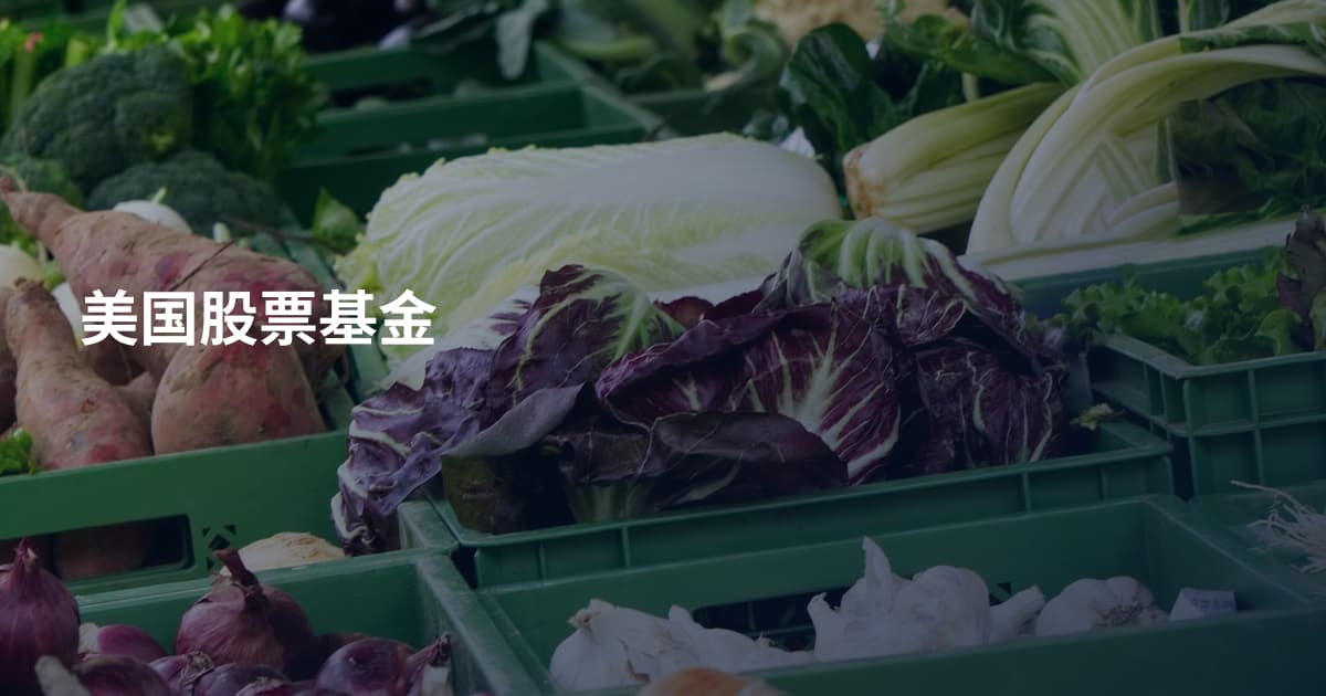 美国股票基金