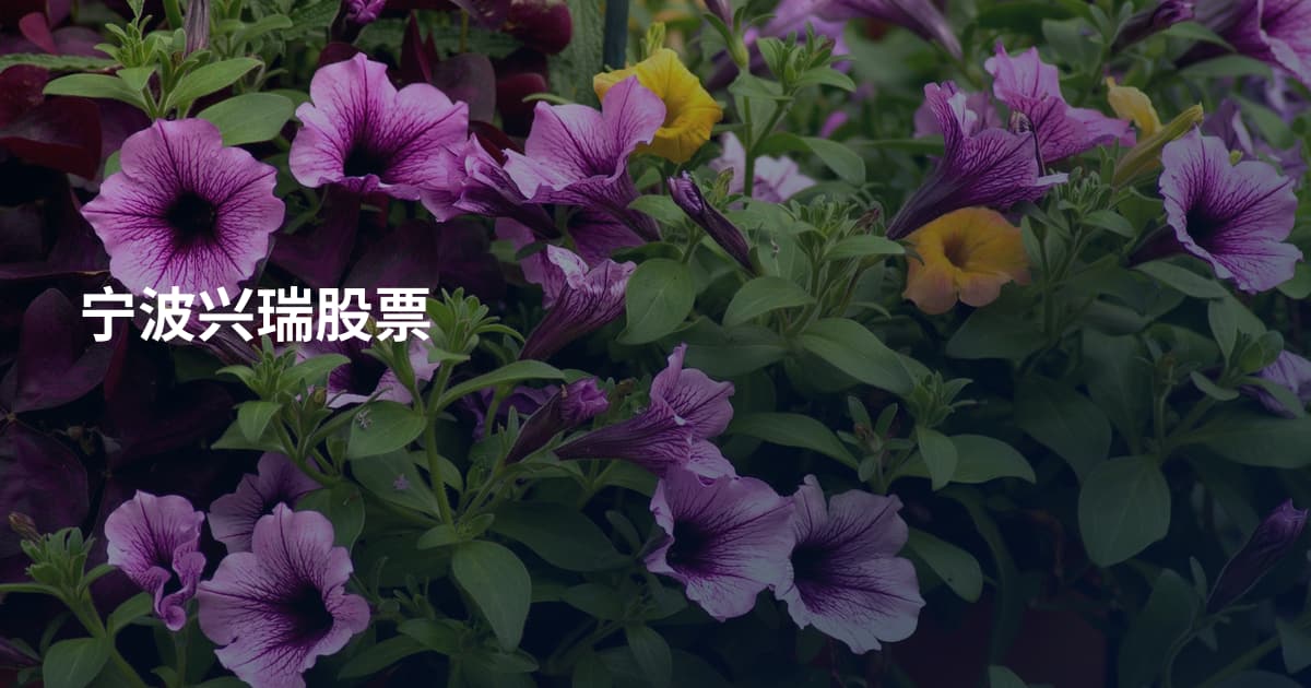 宁波兴瑞股票