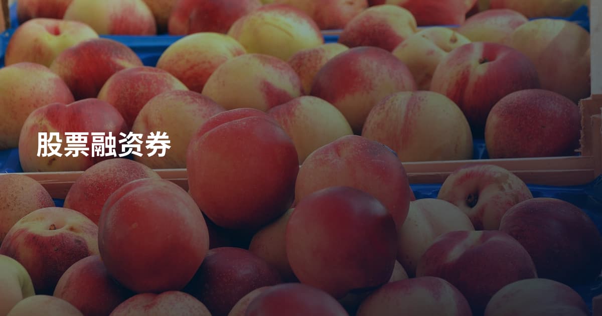 股票融资券