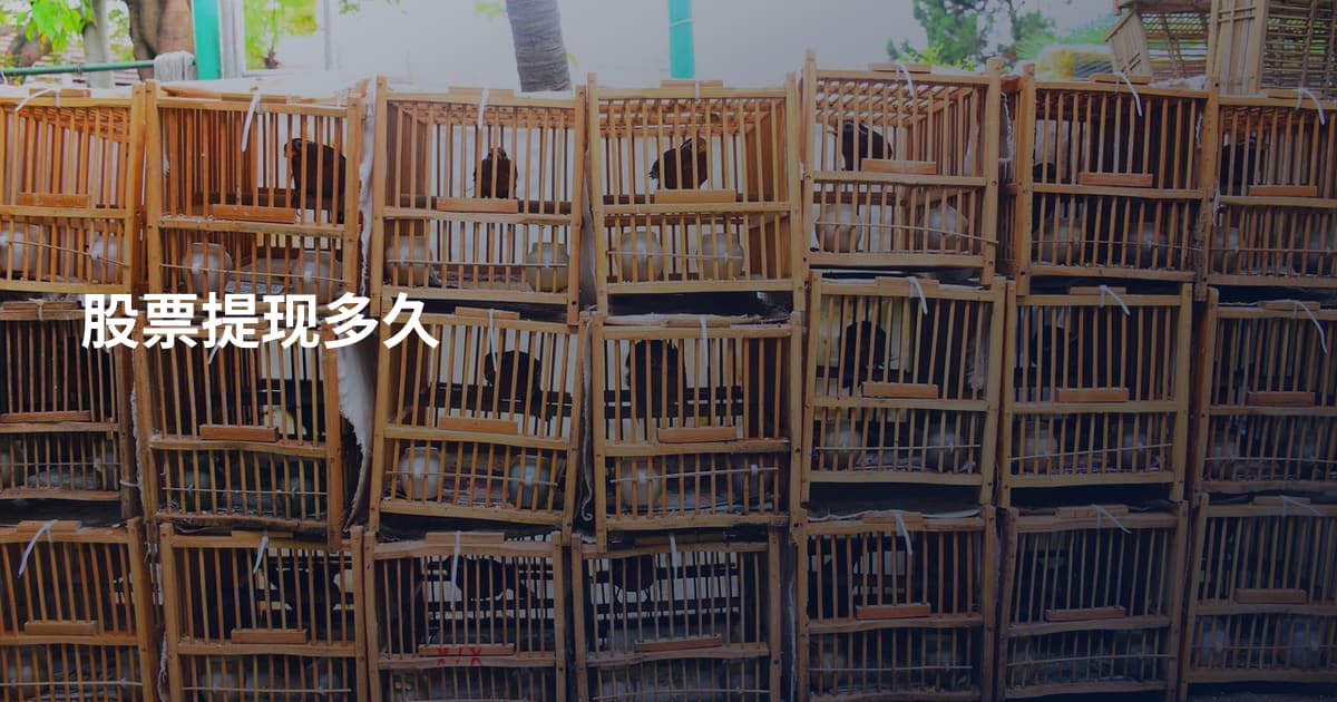股票提现多久