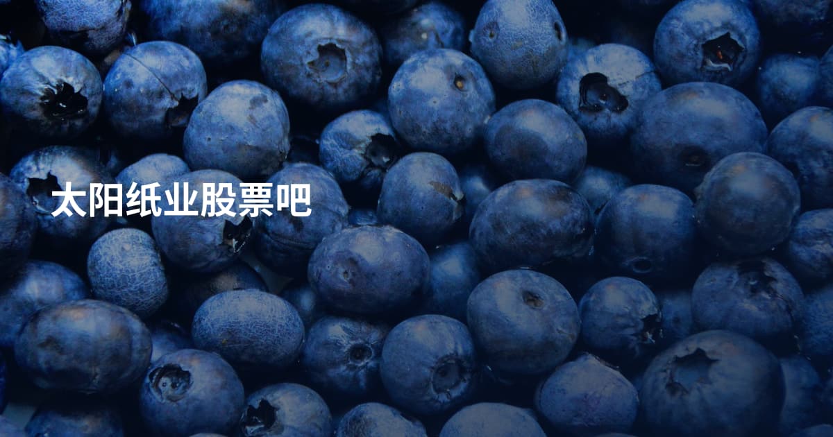太阳纸业股票吧