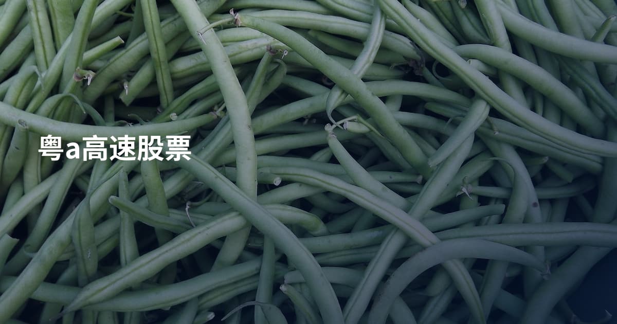 粤a高速股票