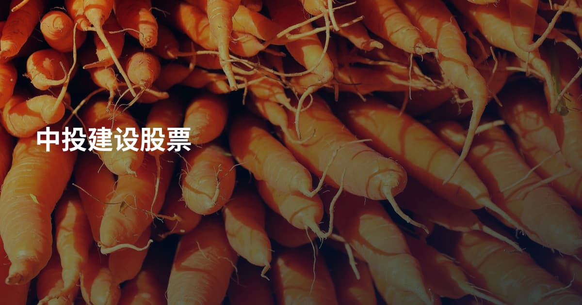 中投建设股票