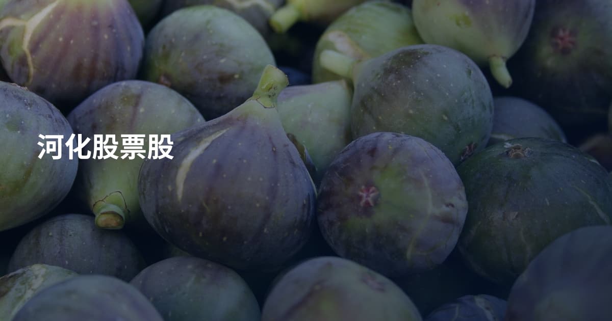 河化股票股