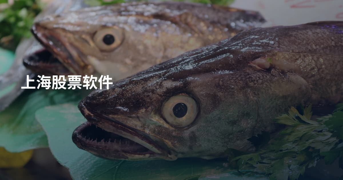 上海股票软件