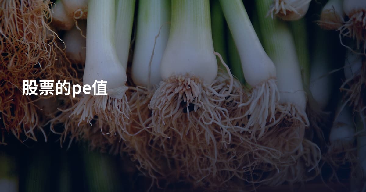 股票的pe值