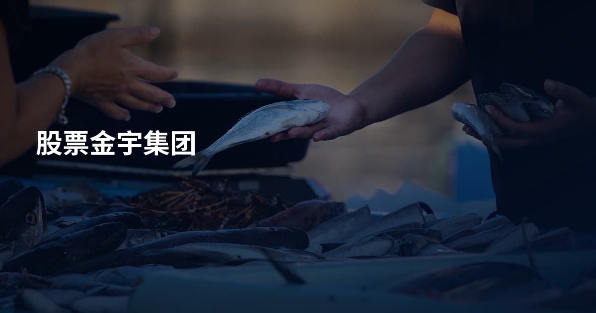 股票金宇集团