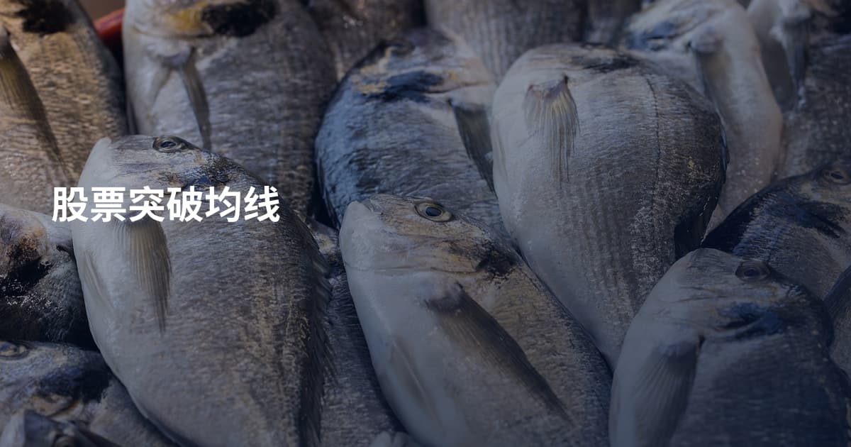 股票突破均线