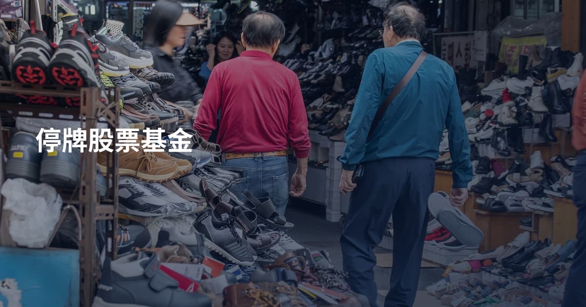 停牌股票基金