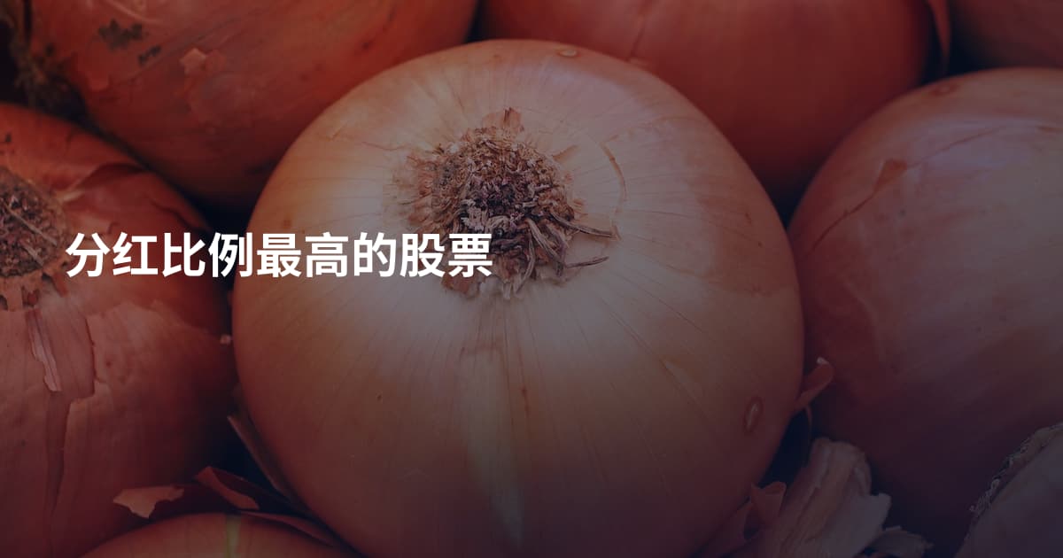分红比例最高的股票