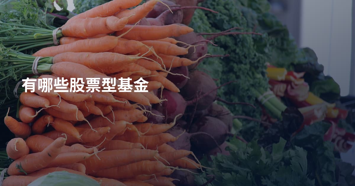 有哪些股票型基金