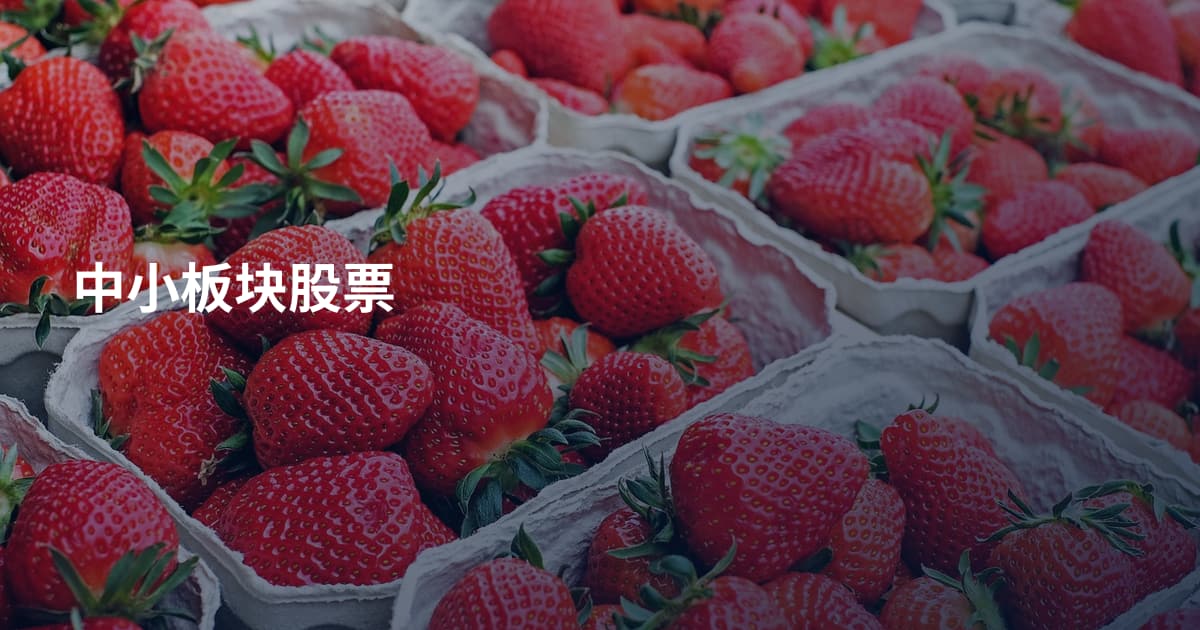 中小板块股票