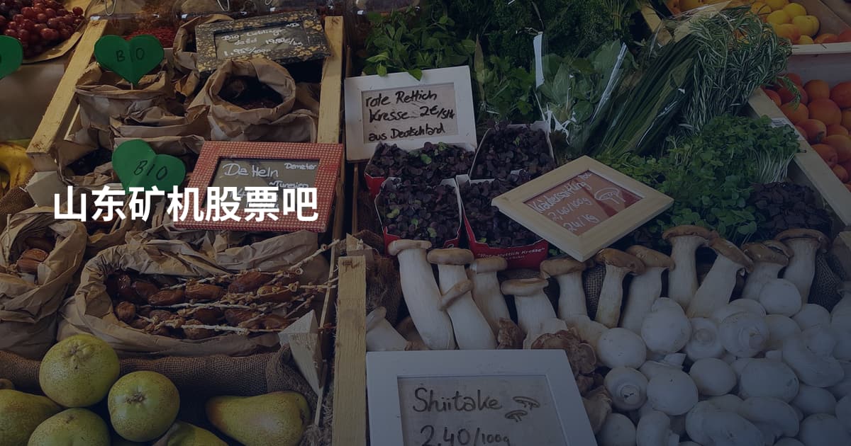 山东矿机股票吧