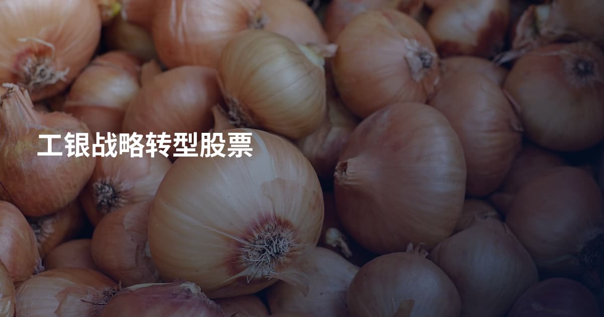 工银战略转型股票