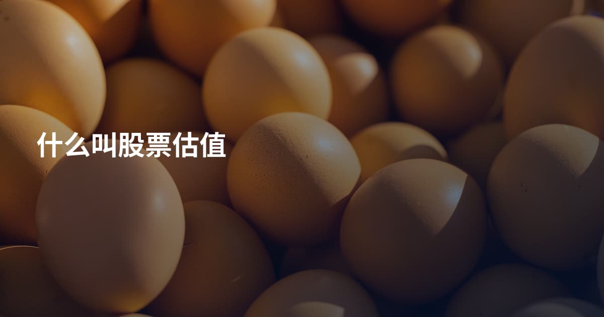 什么叫股票估值