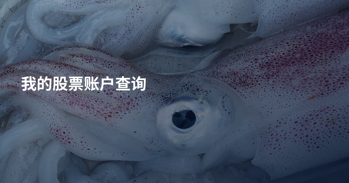 我的股票账户查询