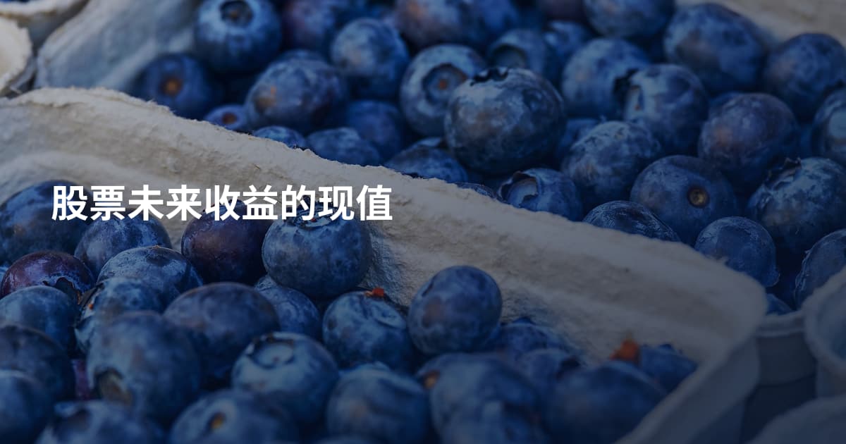 股票未来收益的现值