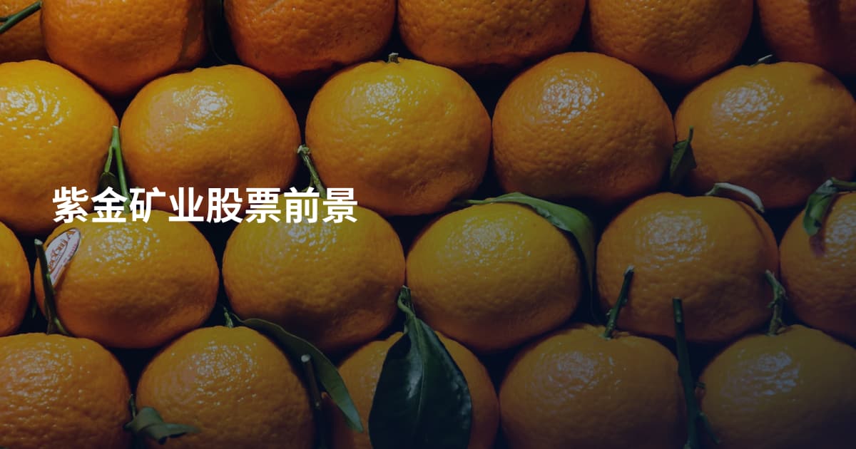 紫金矿业股票前景