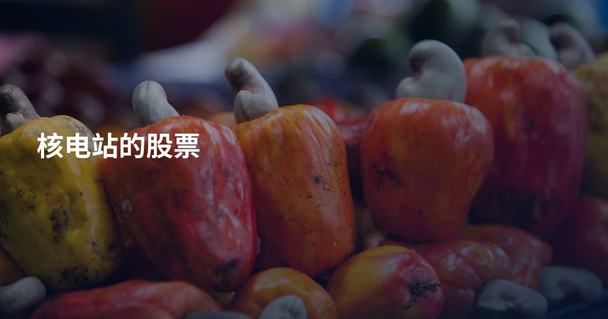 核电站的股票