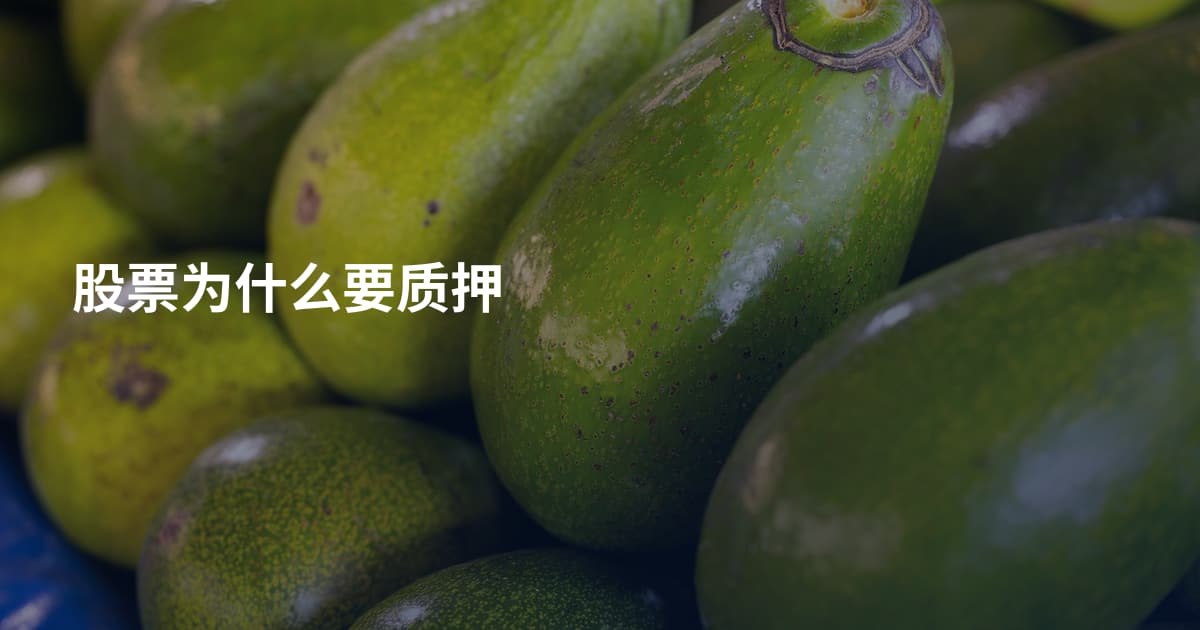 股票为什么要质押