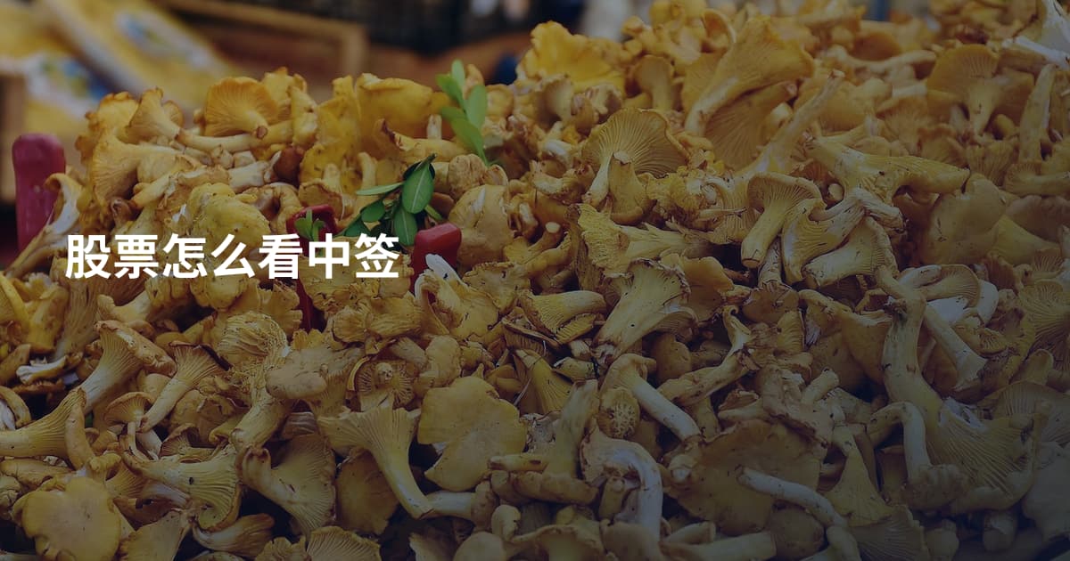 股票怎么看中签