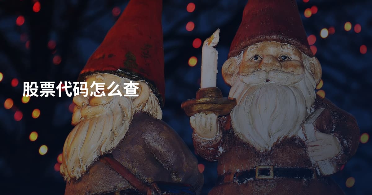 股票代码怎么查