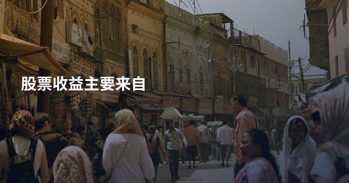 股票收益主要来自