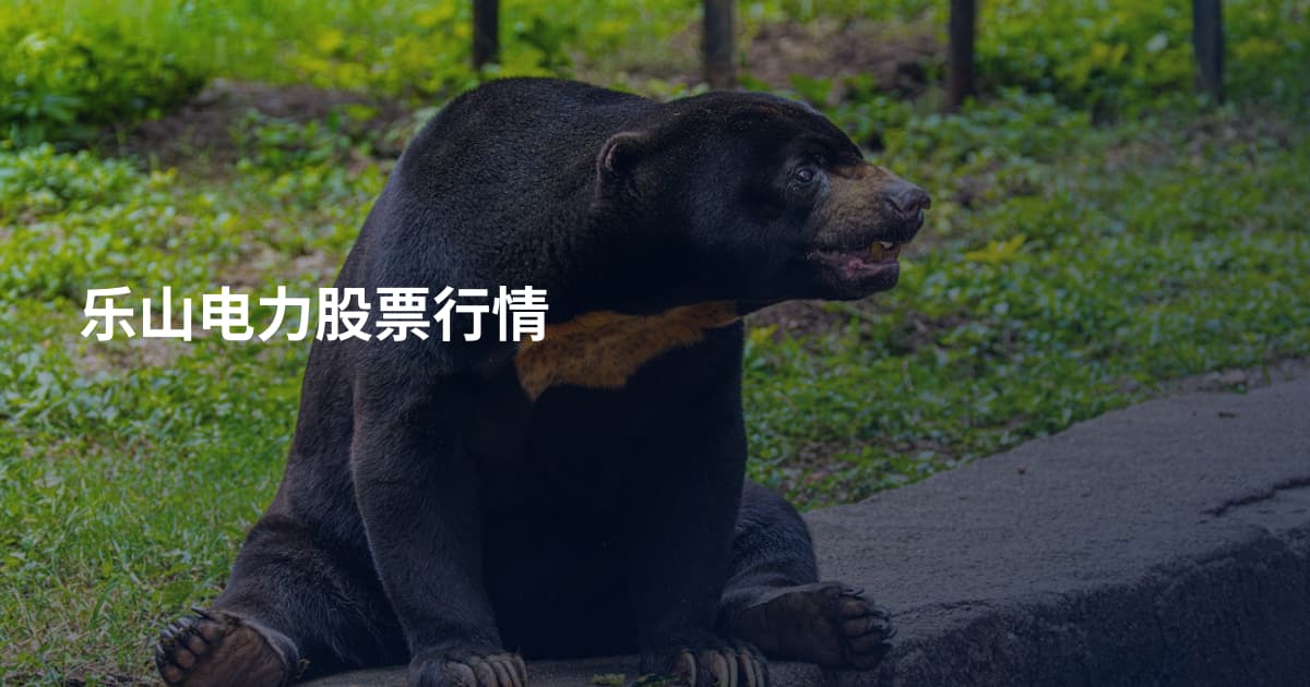 乐山电力股票行情